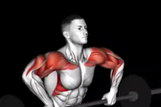 do 3d gym, workout and exercise ai fitness animation video, ai health 3d anatomy