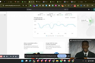manage shopify dropshipping store, be virtual assistant, boost shopify ads sales