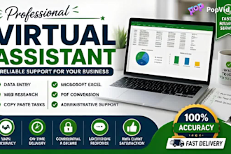 be your professional virtual assistant