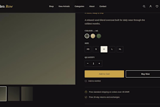 design and develop a professional ecommerce website