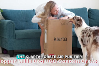 create dog and cat ugc video, dog product video dog content for social advert
