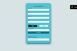 do backend and frontend software development