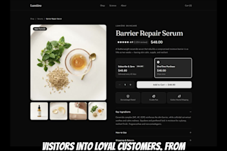 build a custom converting online store or ecommerce website