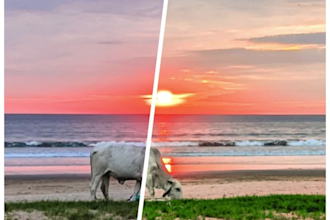 upgrade social media photos to match your brands aesthetic