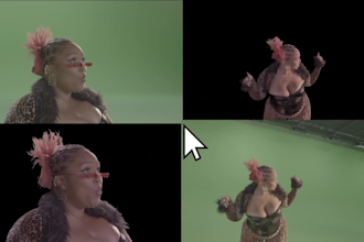 do green screen removal, rotoscoping and cleanup