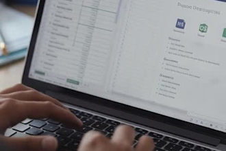 do accurate data entry in excel,word and google sheets