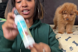 create real ugc videos featuring my golden doodle puppy