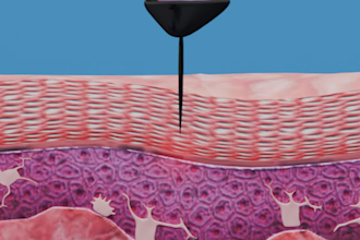 make viral zack d films animation