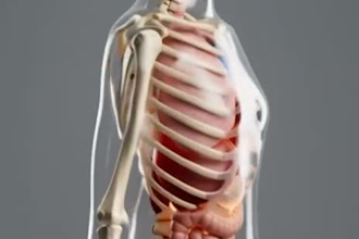 create viral ai skeleton shorts for tiktok reels and short video platforms
