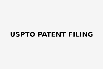 do a patent application, non provisional application as your patent lawyer
