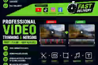 trim, merge and professionally edit your videos fast