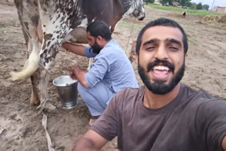 african happy birthday video african happy birthday video