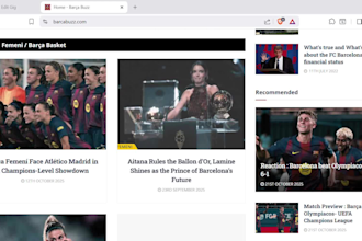 fix bugs on your website