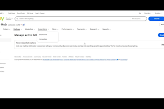 ebay dropshipping VA product sourcing listing optimization