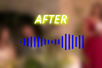 remove background noise, hum, hiss and echo from your audio