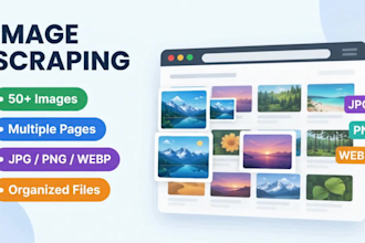 download images in bulk from any website