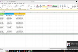 data entry data cleaning web research copy paste