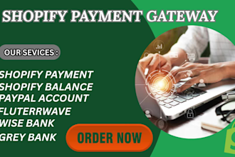 set up shopify payments shopify balance wise integration and fix payment issues