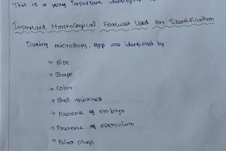 create clear mbbs medical notes and summaries