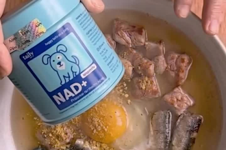 create ai ugc video ads for your supplement or pet brand