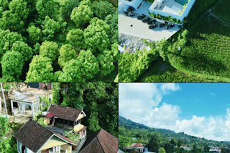 do professional video editing and photo retouching