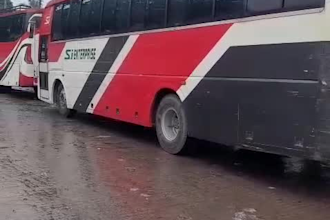 create a bus video professionally
