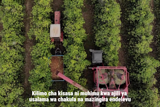 provide professional swahili transcription and subtitles for technical videos