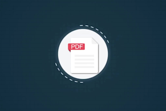 perform website security testing and system , web vapt