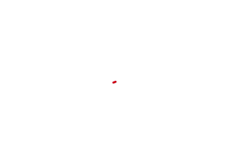 produce a custom logo animation