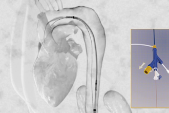 create scientifically accurate 3d medical animation