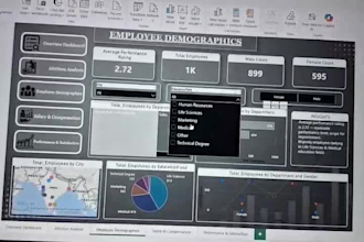 create a professional powerbi dashboard for your business