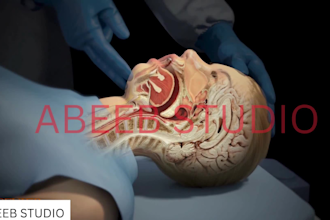 create realistic 3d full body anatomy medical animation