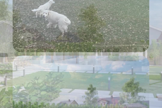 design the entire outdoor space of your property
