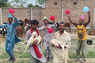 wish happy birthday video or happy birthday