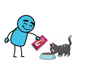 create paint explainer videos for youtube using hand drawn visuals