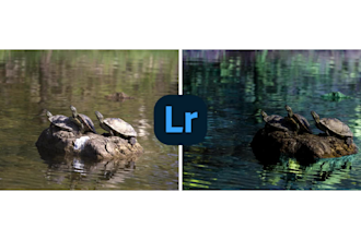 edit your photos with a cinematic look on lightroom