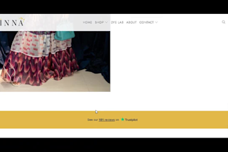 clone upgrade shopify store copy shopify store pagefly ecommerce marketing