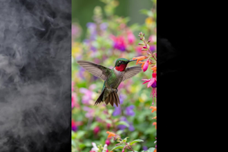 generate realistic ai art, ai images, and characters