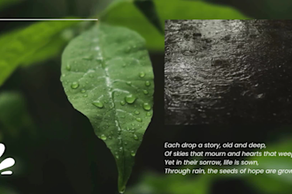 create cozy rain video with meditation and relaxing content for youtube channel