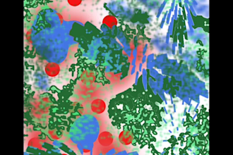 design seamless pattern for packaging, branding and products