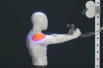 do 3d gym, physical fitness and 3d workout animation
