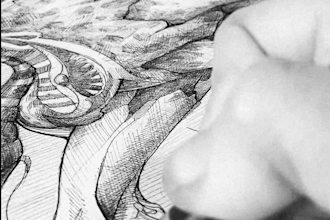 create a traditional ink illustration