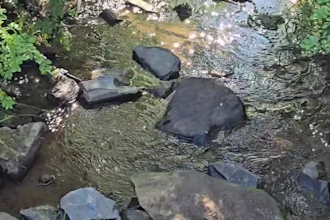 create calming nature videos for meditation relaxation and social media