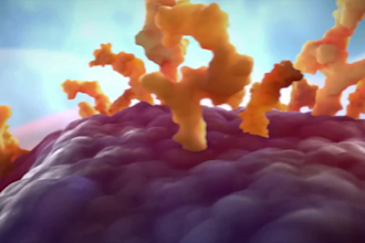create 3d medical virus animation video, 3d explainer video