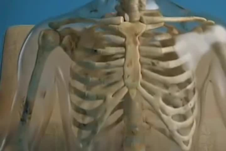create viral dr data style ai skeleton storytelling animation shorts, ai video