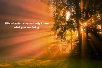 design professional social media quote posts in canva
