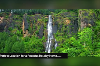 design attractive facebook posts and edit short videos