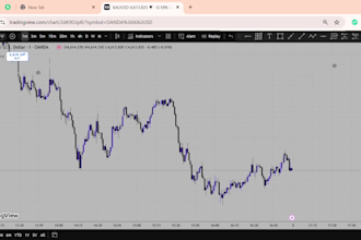provide beginner friendly gold trading mentorship