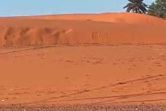 do anything from morocco