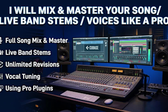 professionally mix and master your music or live band stems